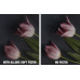 NiSi Allure Soft White for Fujifilm X100 Series (Black Frame) Camera ARRI RED